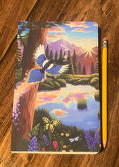 “Clarity” Sketchpad