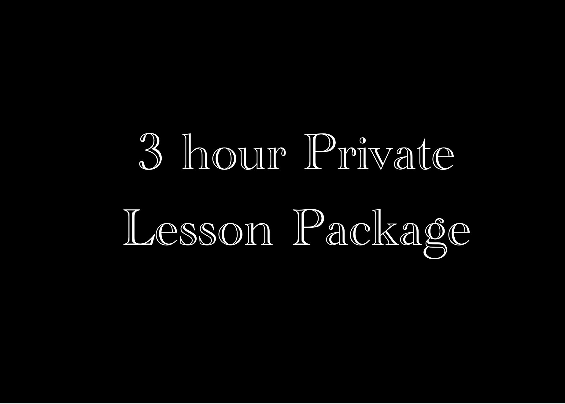 3 Hour Lesson Package – Kirstie Connon Art